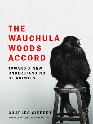 cover image of The Wauchula Woods Accord